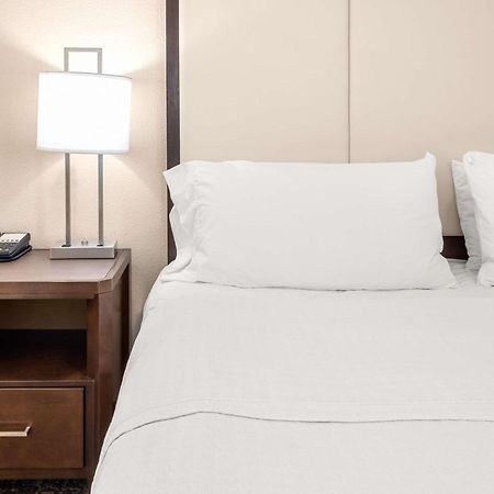 Homewood Suites By Hilton Сан Маркос Екстериор снимка